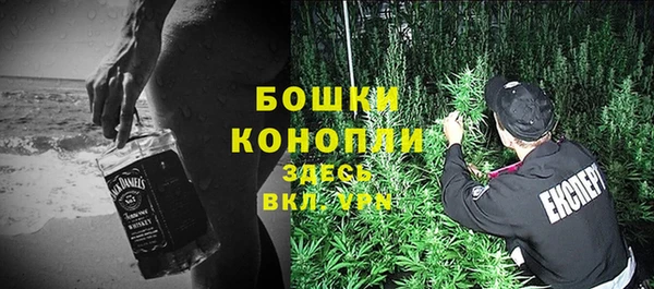 ГАЛЛЮЦИНОГЕННЫЕ ГРИБЫ Арсеньев