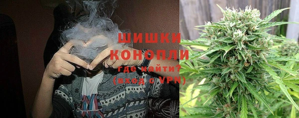 ГАЛЛЮЦИНОГЕННЫЕ ГРИБЫ Арсеньев