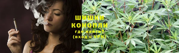 ГАЛЛЮЦИНОГЕННЫЕ ГРИБЫ Арсеньев